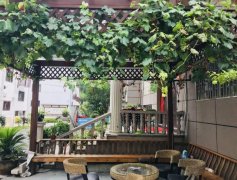 长春葡萄架产品展示